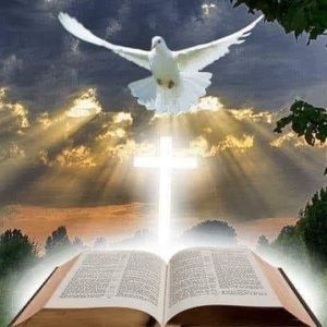 Meet your Posher, Phuc hong